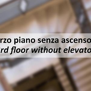 Il Moro Apartment By Mamo Florence